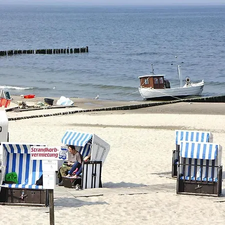 Dom wakacyjny In Mit Garten Zempin